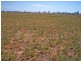 2015 McEwen Road, Merrigum VIC 3618