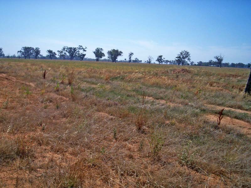 2015 McEwen Road, Merrigum VIC 3618