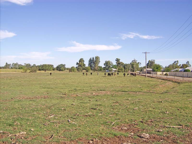 18 Campbell Street, Tongala VIC 3621