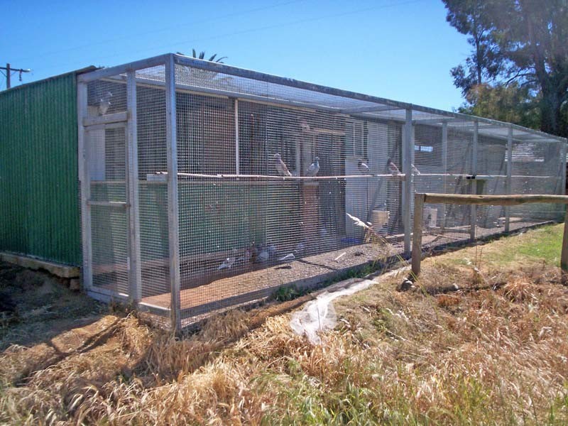 1810 Wilson Road, Tongala VIC 3621