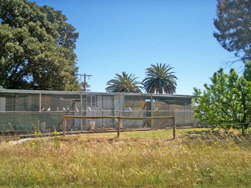 1810 Wilson Road, Tongala VIC 3621