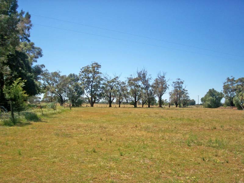 1810 Wilson Road, Tongala VIC 3621