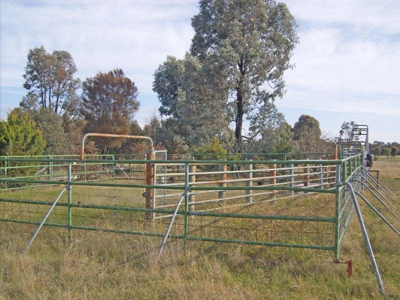 485 Wet Road, Murchison VIC 3610