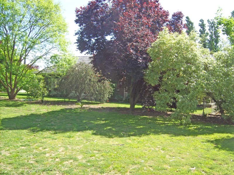 284 Hill Road, Stanhope VIC 3623