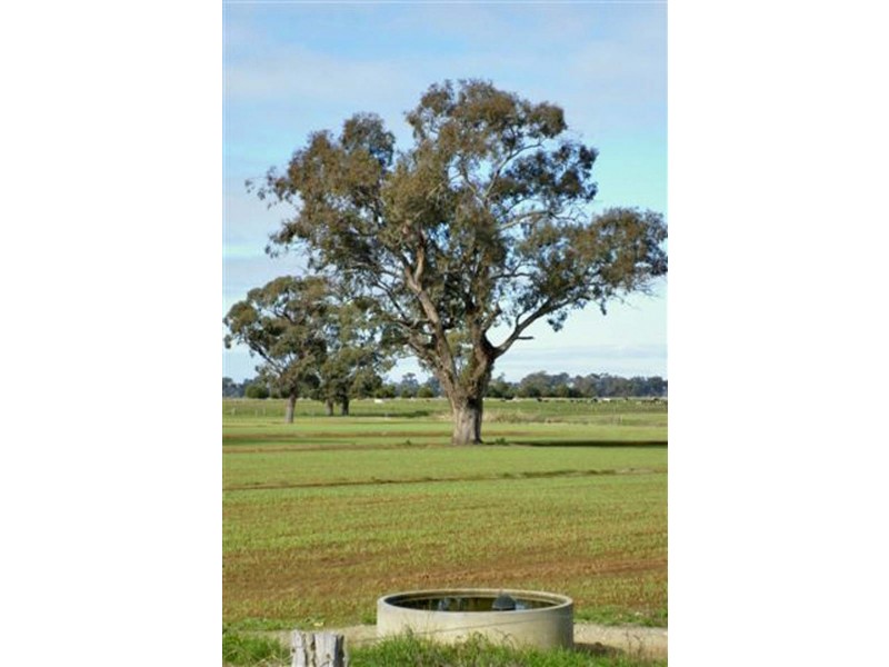 2335 Lilford Road, Kyabram VIC 3620