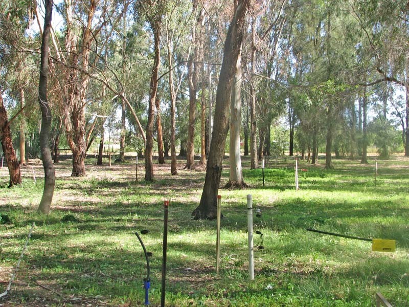42 Tisdall Road, Kyabram VIC 3620