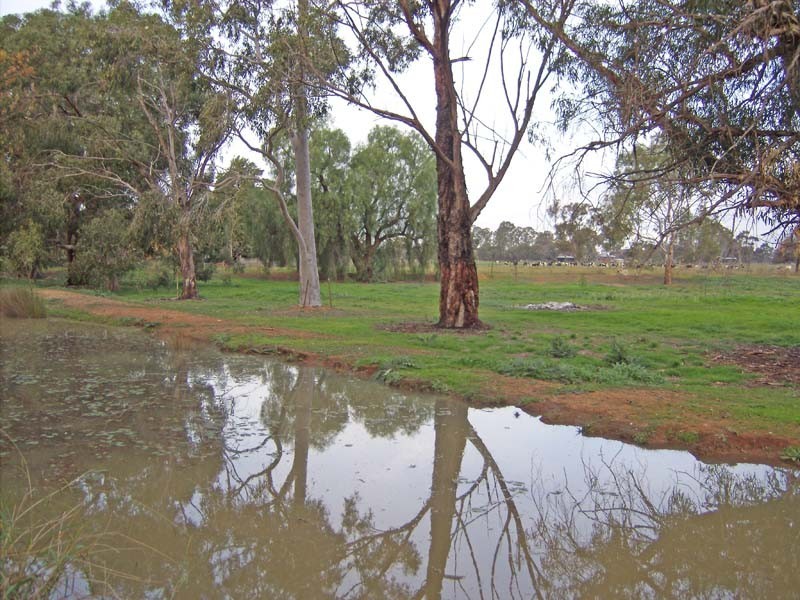 22 Savige Road, Stanhope VIC 3623