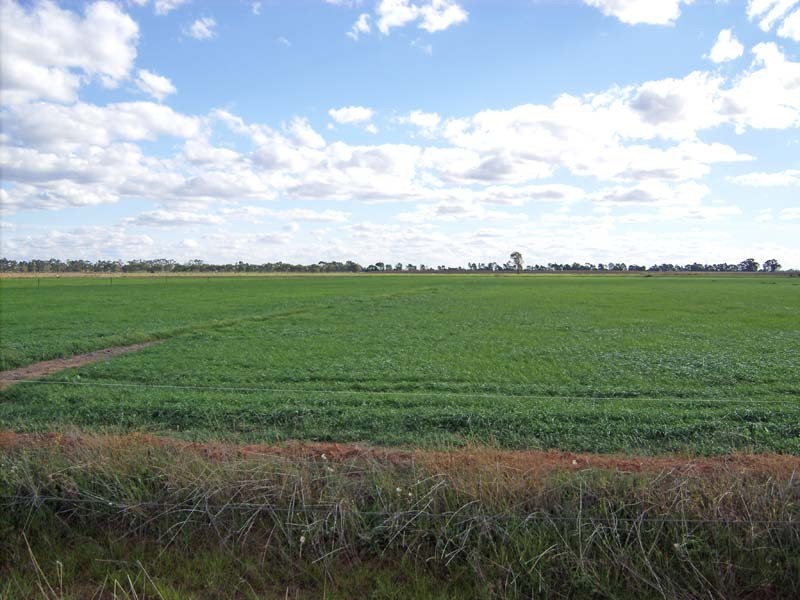 168 Wilson Road, Wyuna VIC 3620