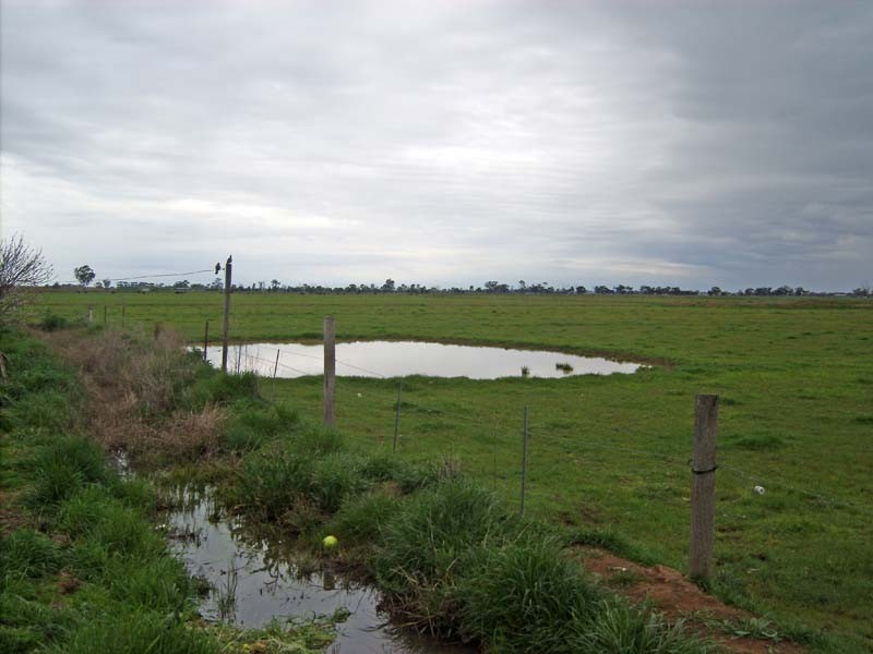 295 Gillies Road, Girgarre VIC 3624