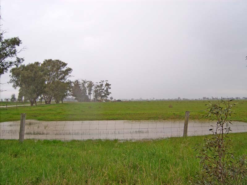 295 Gillies Road, Girgarre VIC 3624