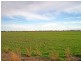 1333 Finlay Road, Tongala VIC 3621