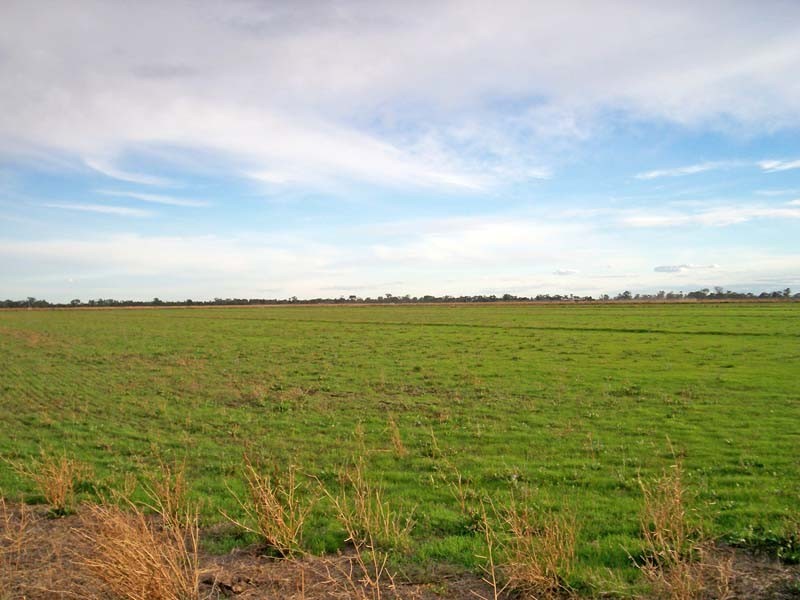 1333 Finlay Road, Tongala VIC 3621