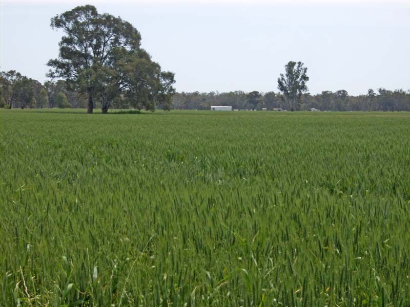 1044 Sleeth Road, Undera VIC 3629