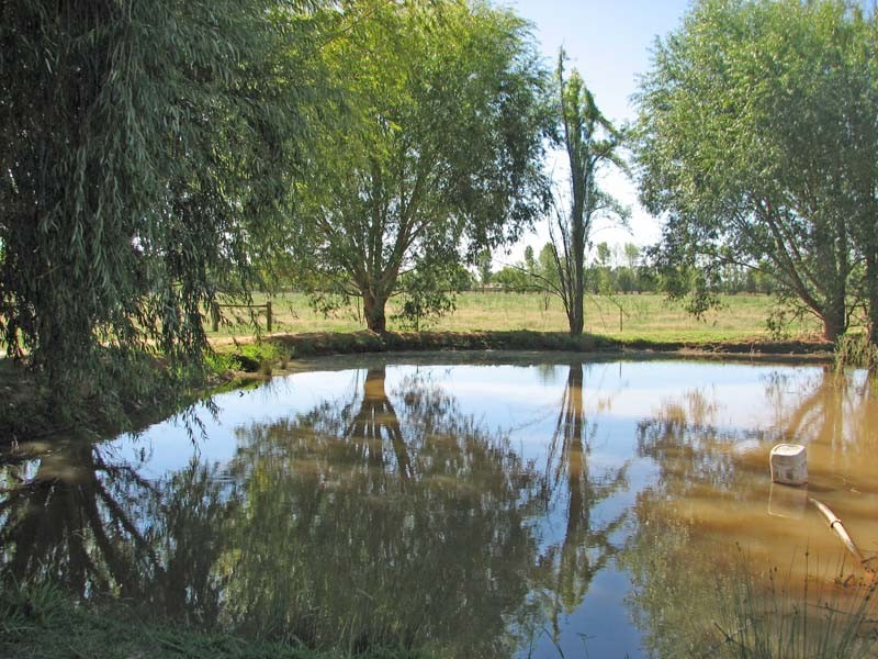 1887 Curr Road, Tongala VIC 3621