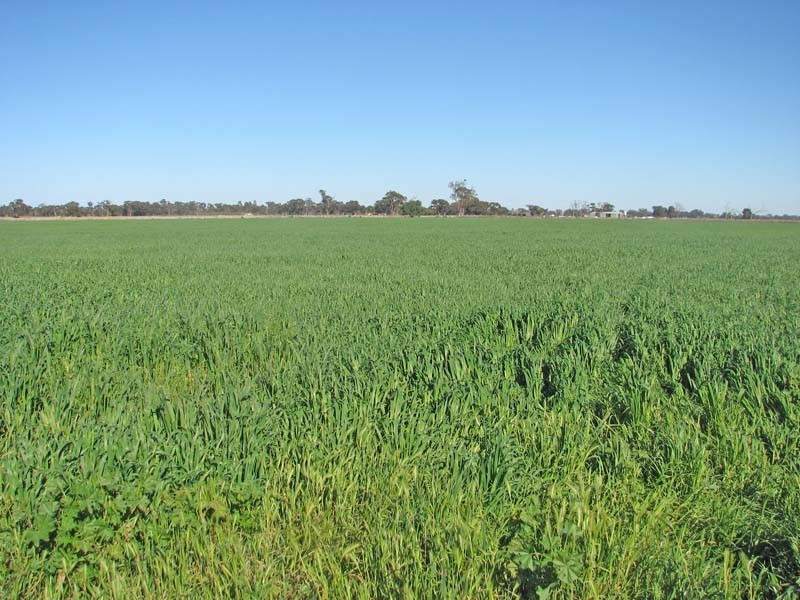 480 Coomboona Road, Mooroopna VIC 3629