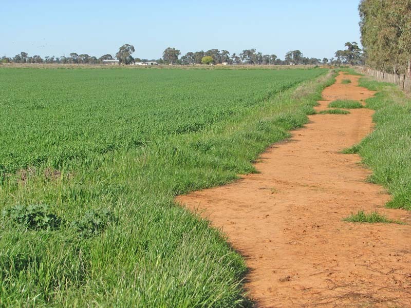 480 Coomboona Road, Mooroopna VIC 3629