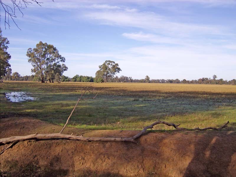 860 Sleeth Road, Undera VIC 3629