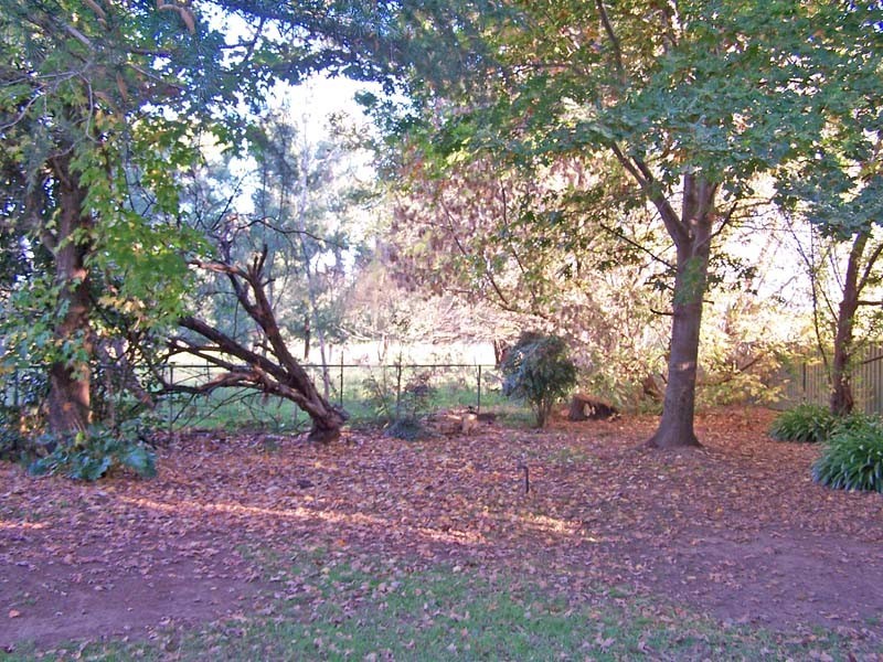 591 Henderson Road, Tongala VIC 3621