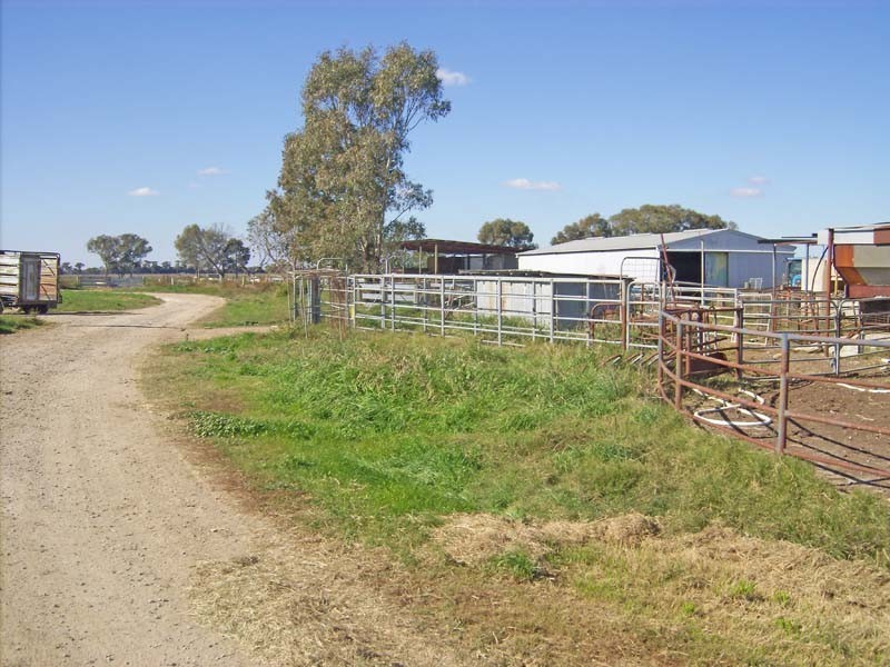 982 Scobie Road, Tongala VIC 3621