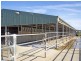 982 Scobie Road, Tongala VIC 3621