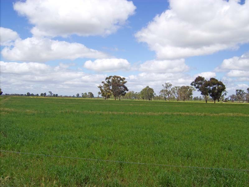 307 Webb Road, Kyabram VIC 3620