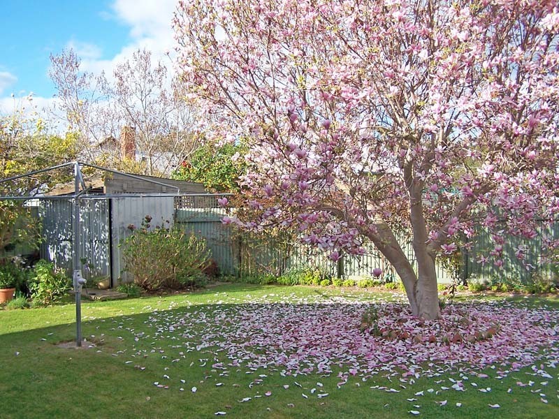 2 Mackie Street, Kyabram VIC 3620