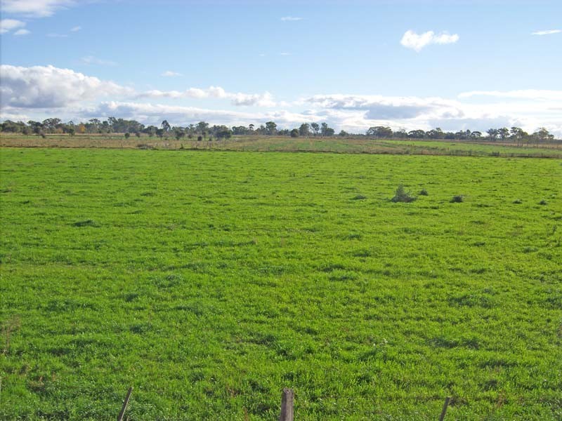 818 Henderson Road, Tongala VIC 3621