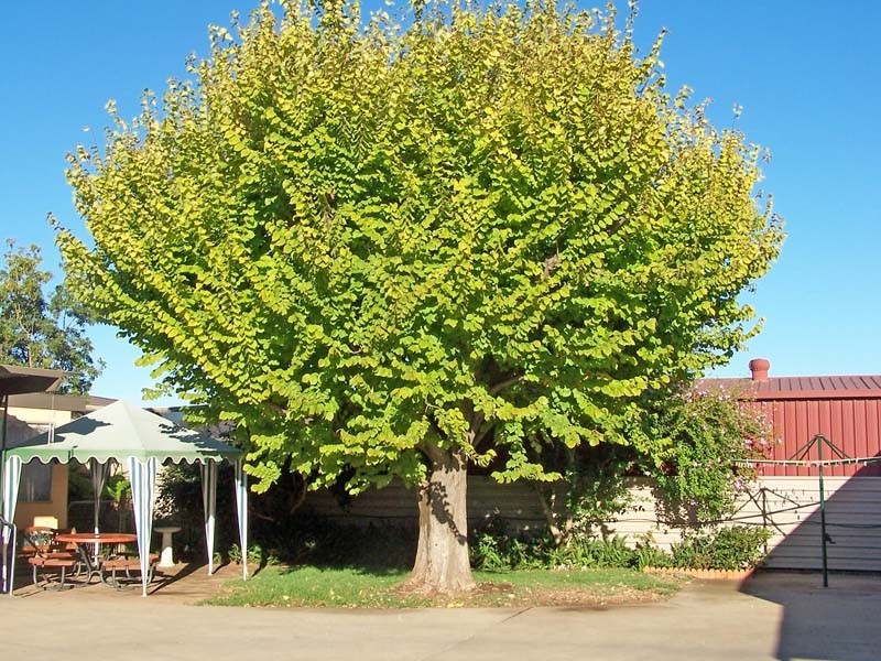 4 Doidge Court, Kyabram VIC 3620