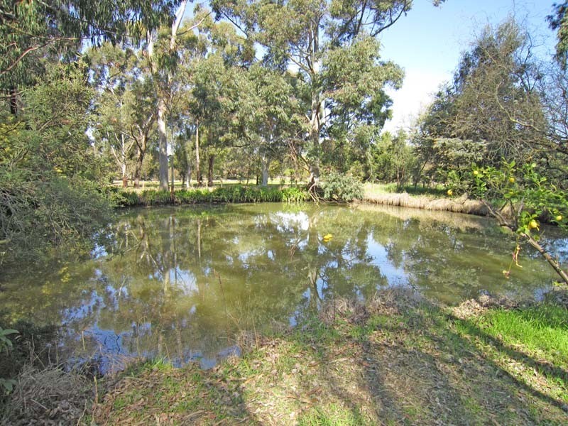 62 Howards Lane, Kyabram VIC 3620