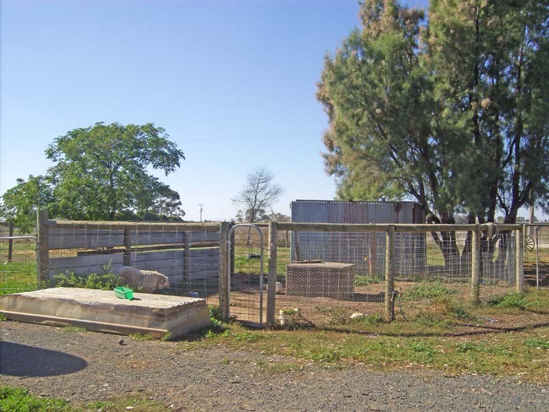 491 Murphy Road, Tongala VIC 3621