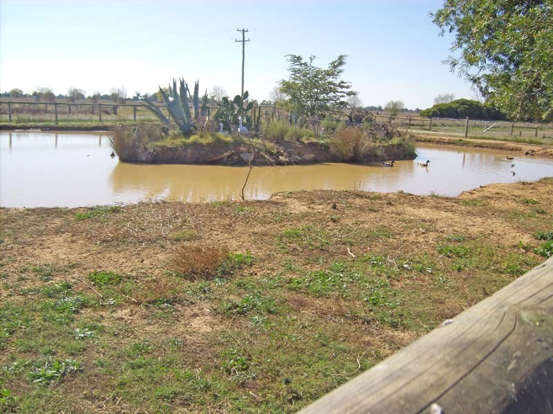 491 Murphy Road, Tongala VIC 3621