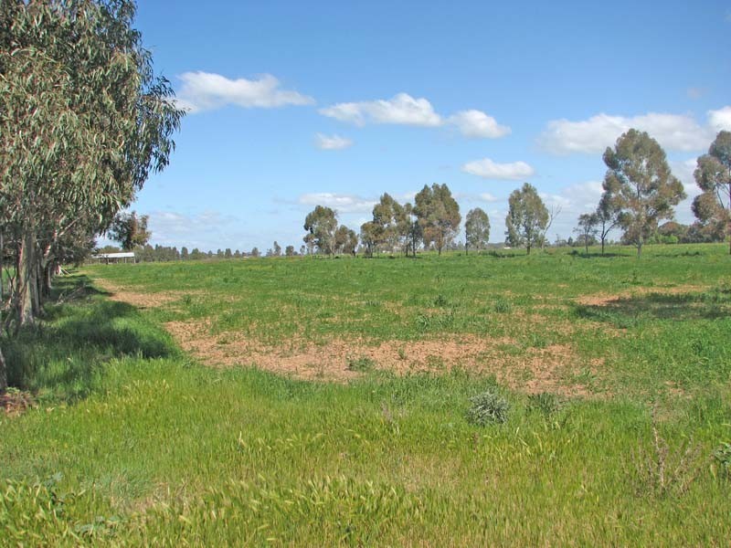 115 McGregor Road, Kyabram VIC 3620