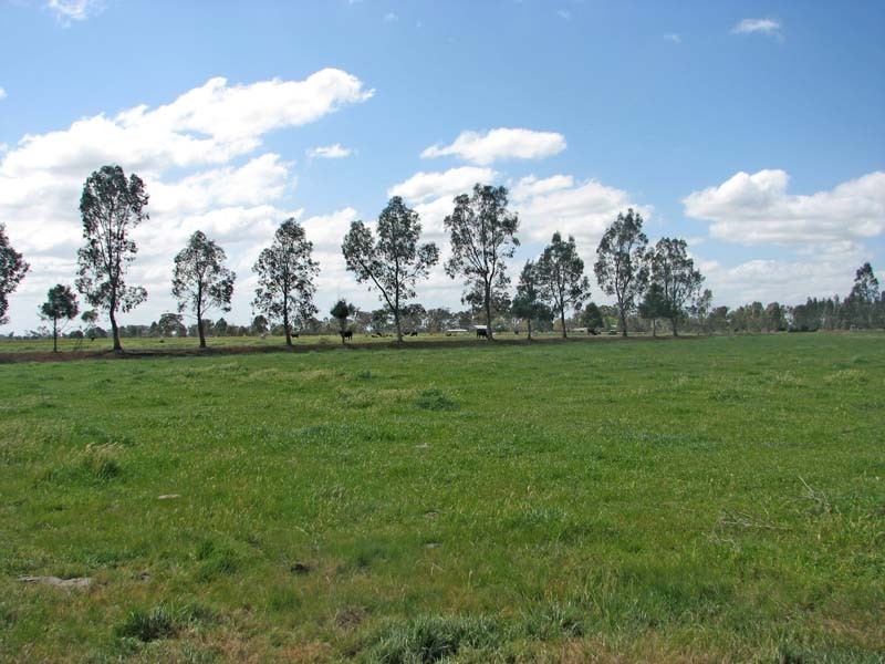 115 McGregor Road, Kyabram VIC 3620