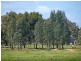 115 McGregor Road, Kyabram VIC 3620
