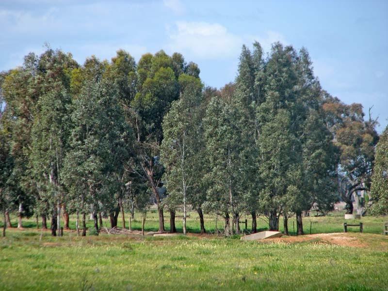 115 McGregor Road, Kyabram VIC 3620