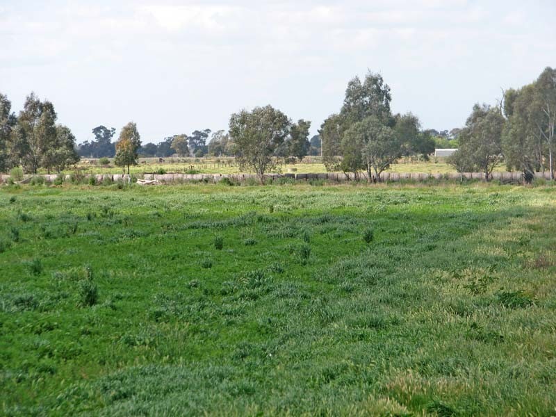 115 McGregor Road, Kyabram VIC 3620