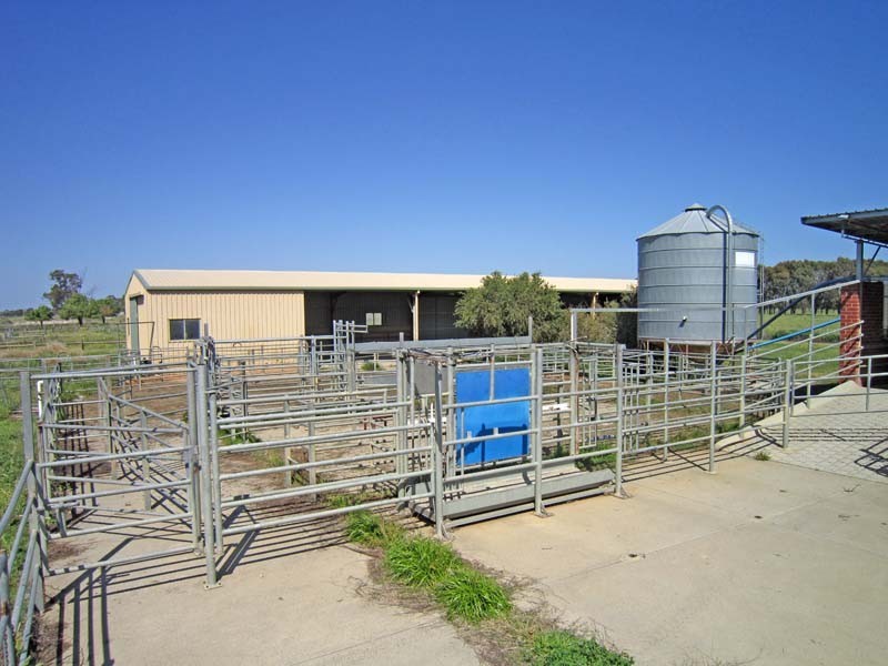 120 Kyabram-Cooma Road, Kyabram VIC 3620
