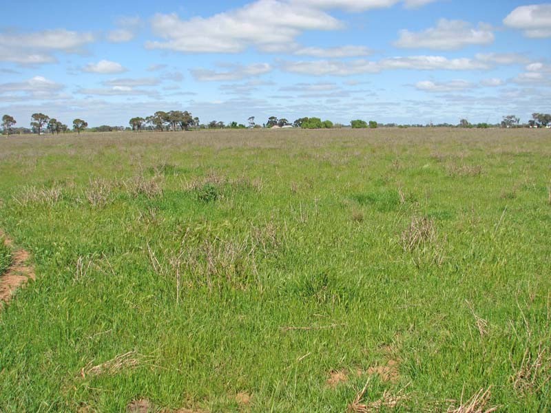 2100 Fenaughty Road, Kyabram VIC 3620