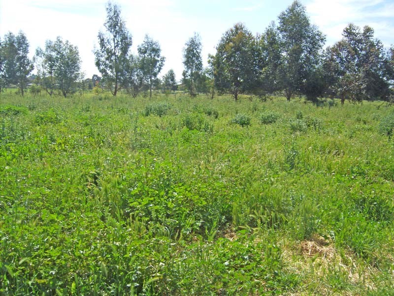 8 Dunstone Road, Kyabram VIC 3620