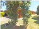 8 Gooda Street, Tongala VIC 3621
