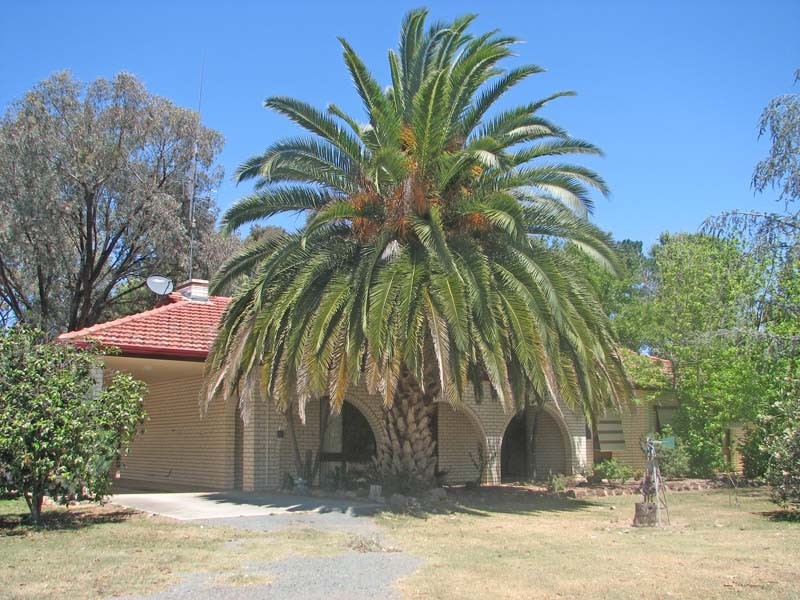 2240 McKenzie Road, Tongala VIC 3621