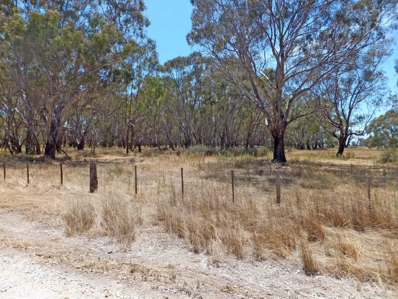 0 Cnr. Tehan & Everard Roads, Timmering VIC 3561