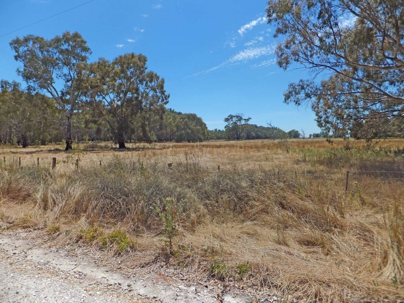 0 Cnr. Tehan & Everard Roads, Timmering VIC 3561