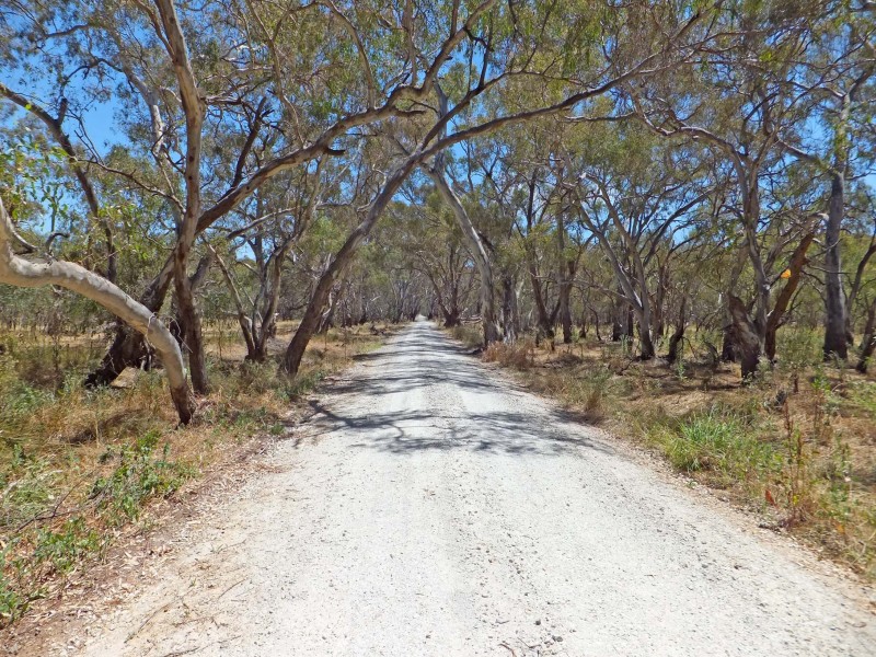 0 Cnr. Tehan & Everard Roads, Timmering VIC 3561