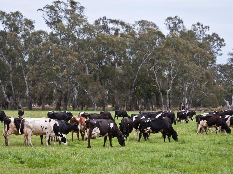 1660 Kyabram Cooma Road, Tatura VIC 3616