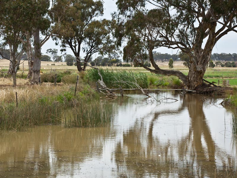 1660 Kyabram Cooma Road, Tatura VIC 3616