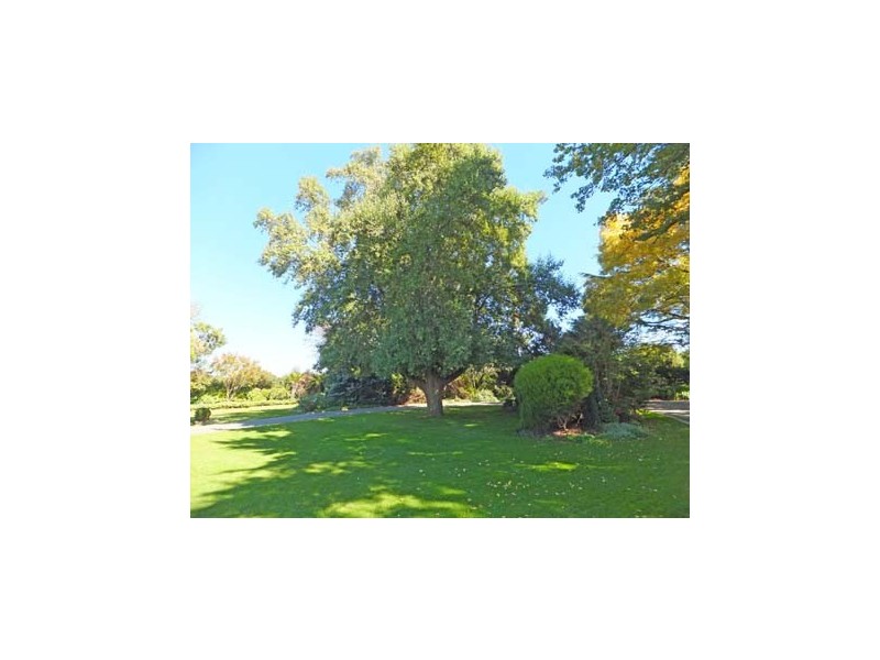 221 Ardmona Road, Ardmona VIC 3629