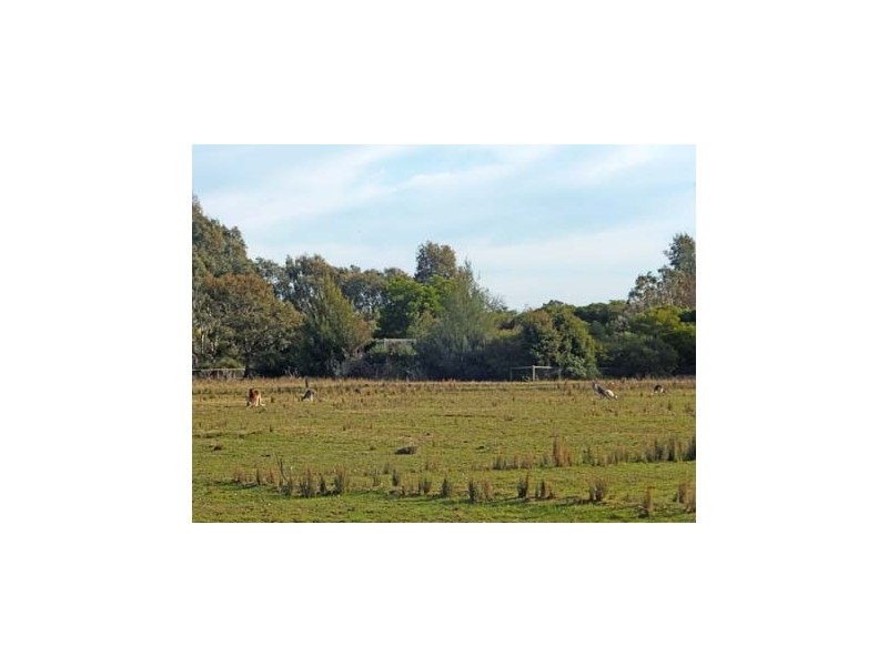 0 Beech Street, Kyabram VIC 3620