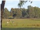 Lot 7 & 57 Fauna View Estate, Kyabram VIC 3620