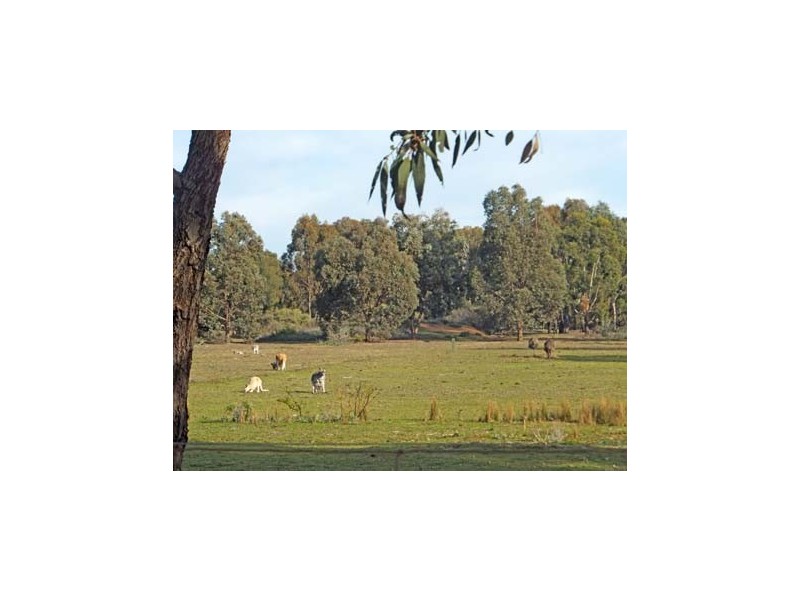 Lot 7 & 57 Fauna View Estate, Kyabram VIC 3620